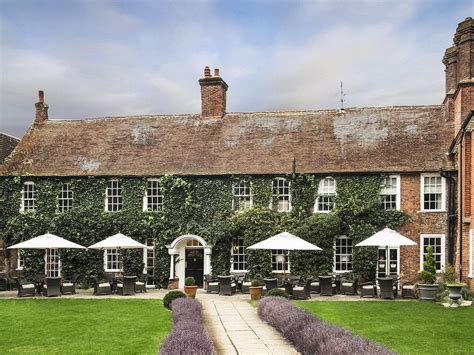 The Surrey Reviews, Deals & Photos 2024 .